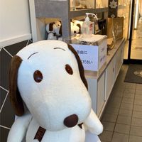 雑談部屋
