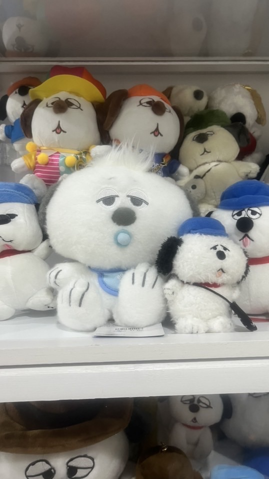 韓國🇰🇷4/6-4/9親飛 萌萌花生 日韓代購