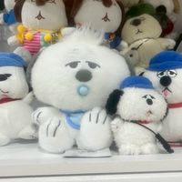 韓國🇰🇷4/6-4/9親飛 萌萌花生 日韓代購