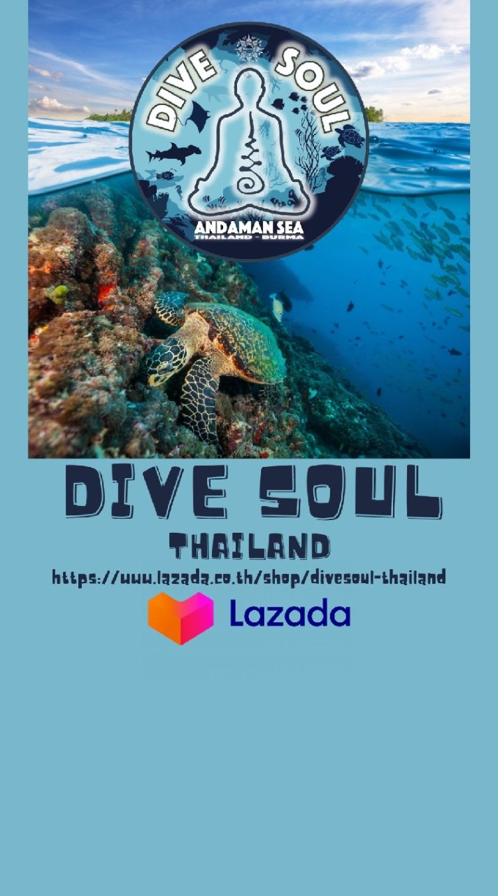 WEEFINE THAILAND