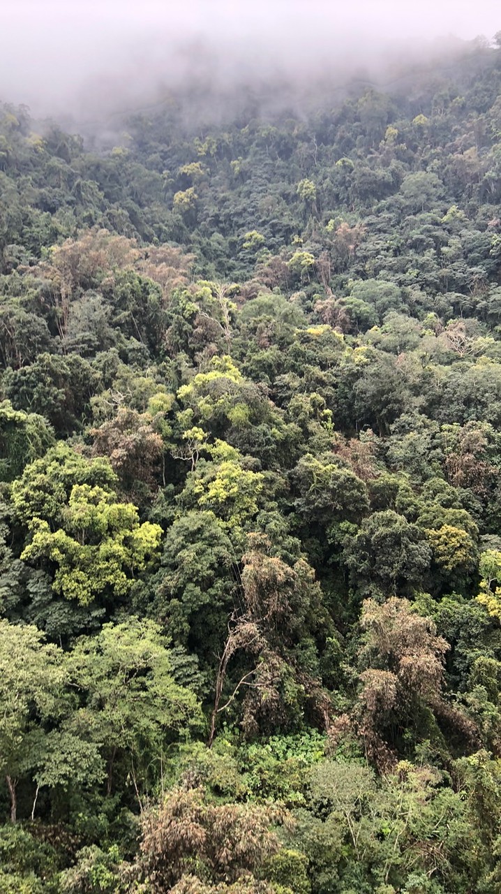 澎湖後寮學生閒聊群