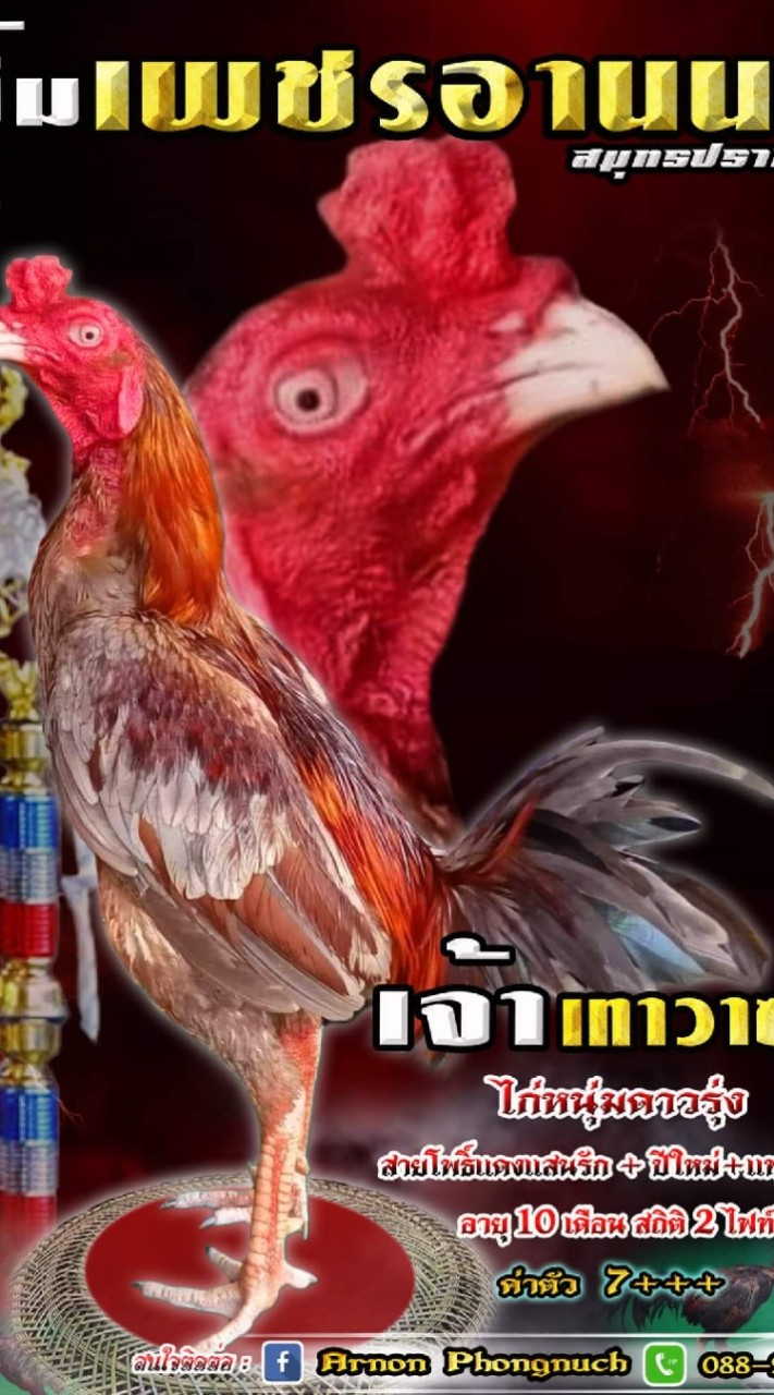 ซุ้ม​ เพชรอานนท์​ สมุทรปราการ