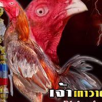 ซุ้ม​ เพชรอานนท์​ สมุทรปราการ