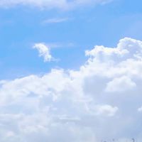 🍀毎日の愚痴吐き場🍀