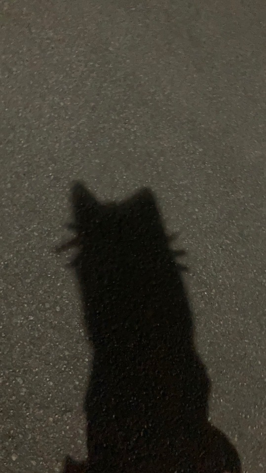 いちご🍓💭深夜組