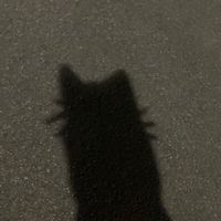 いちご🍓💭深夜組