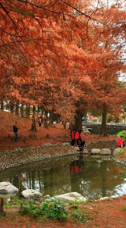 👑旅遊團起來～揪團來玩啊💖愛台灣＋世界旅行景點露營活動聯盟💚自助旅行環島爬山💚出遊民宿飯店隱藏版秘境