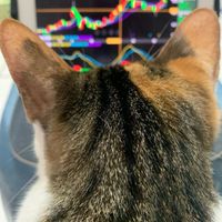 職護 專業版 一起年百 迎向光明