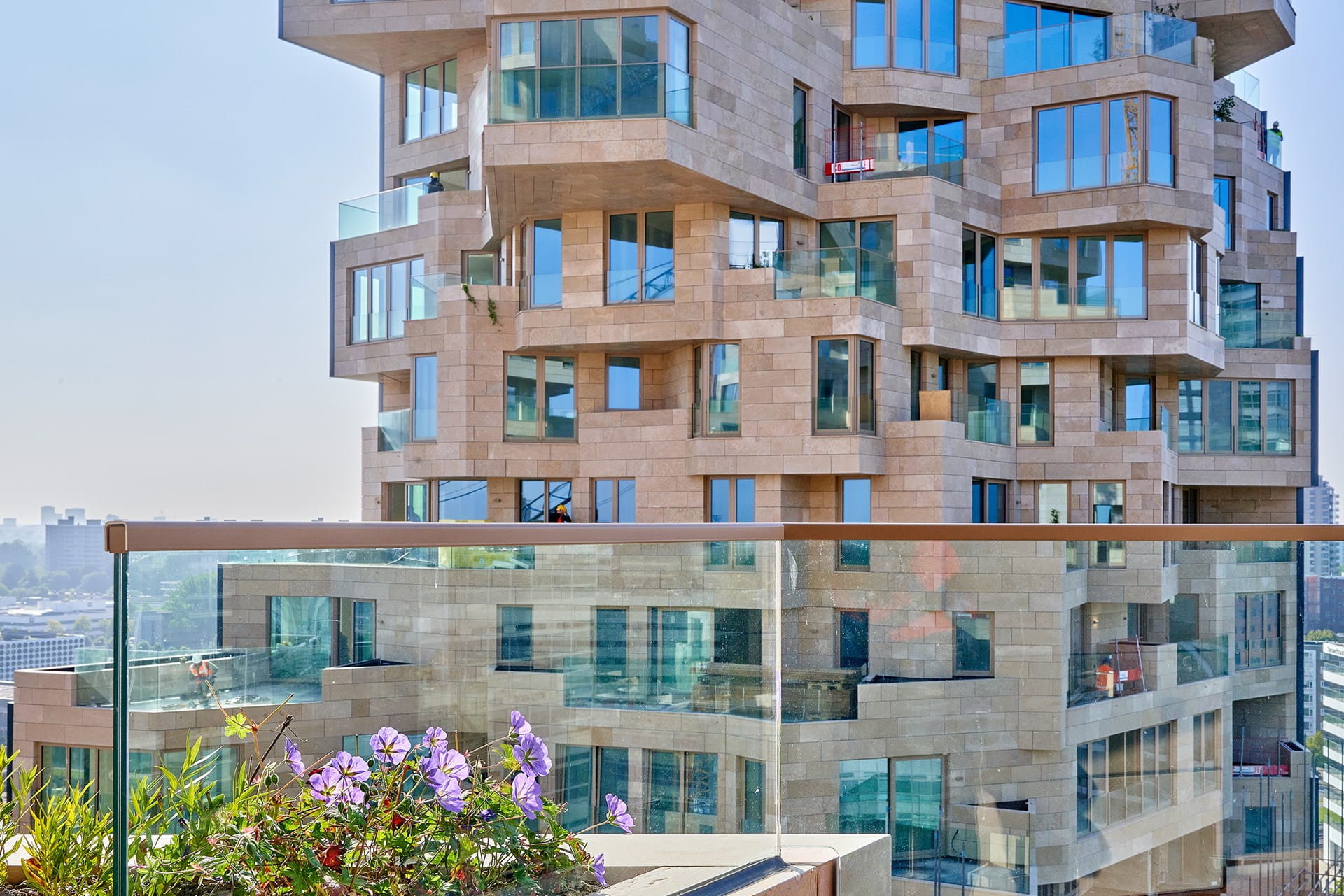 建築;植被;綠建築;荷蘭;商空;住宅