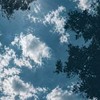 明るく生きよう！ねっ！【全也炉留必須】