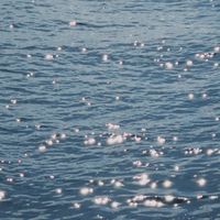 ⋆꙳𝜗 IOLA STUDIO 漂亮分隊 𝜚꙳.*‬