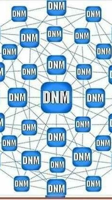 ธีรวัจน์ DNW 81