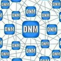 ธีรวัจน์ DNW 81