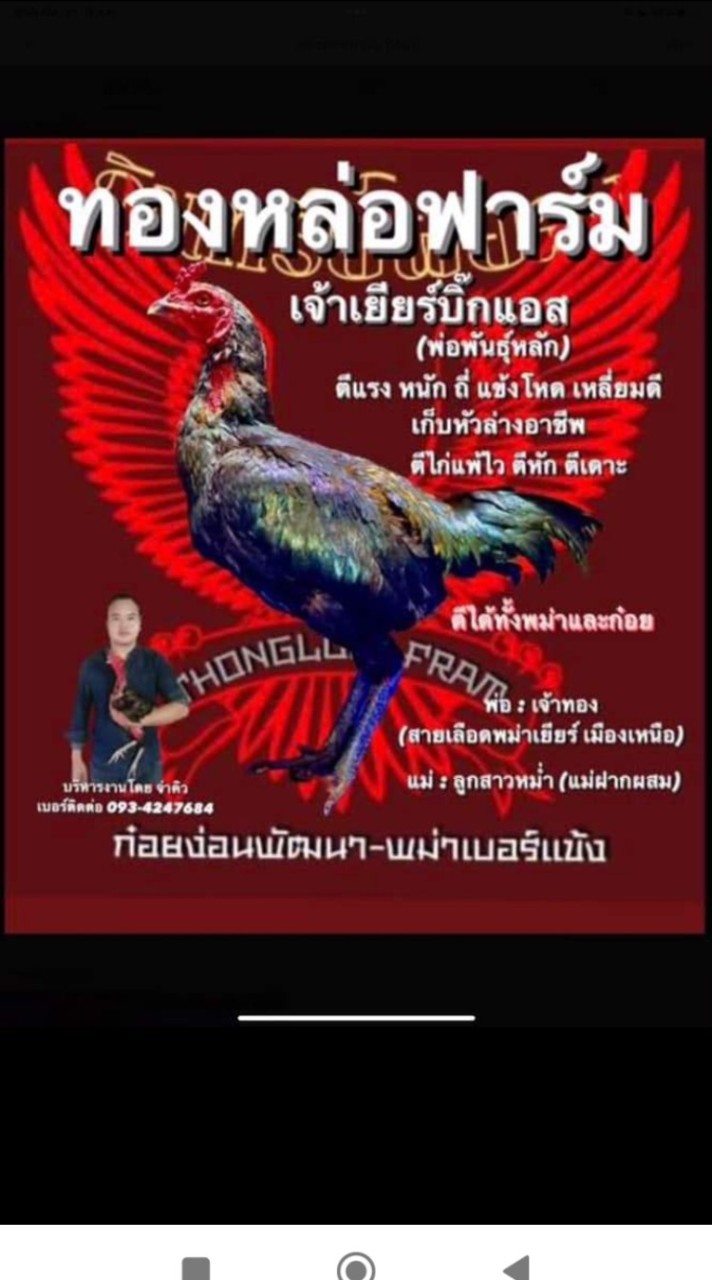 ทองหล่อฟาร์ม