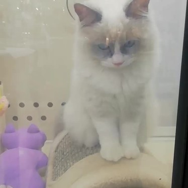 ユニディ ラゾーナ川崎店 ユニディ ラゾーナカワサキテン 堀川町 川崎駅 ホームセンター By Line Place