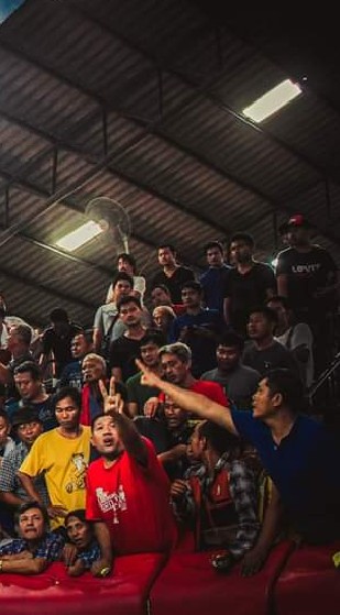 บก.วิทย์สนามไก่ชน vitcockfight