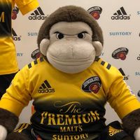 【ラグビー】東京サントリーサンゴリアス応援団