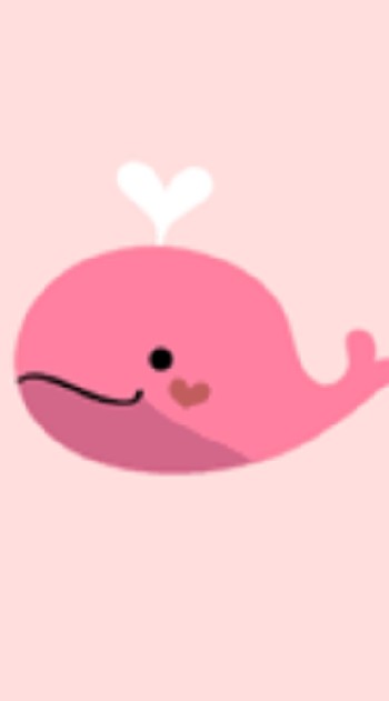 PAVAN🐳