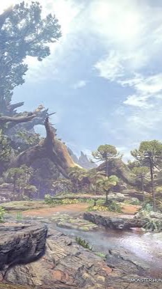 【PC(Steam)】アイスボーンからワイルズへ【TC限定】