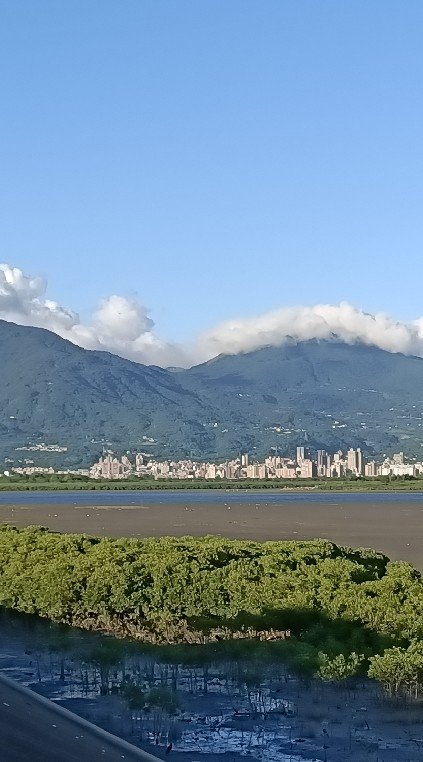 鮮蝦外傳