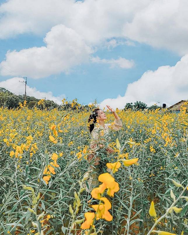 ▲圖片來源：IG@sharon_mylife813