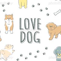 チーム親バカワン（犬🐶）