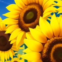 🌻承認早め🌻大人の雑談🌻·̩͙꒰ঌ 𝐿𝑜𝓋𝑒 𝒶𝓃𝒹 𝒫𝑒𝒶𝒸𝑒 ໒꒱·̩͙ 🌻イコイのオアシス🌻らぶぴ