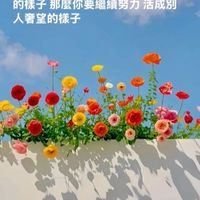 早安！威莉營養早餐俱樂部☀️
