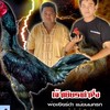 กลุ่มเบอร์ไก่ เพรชรสมบูรณ์ฟาร์ม ส.สมีสุวรรณ100