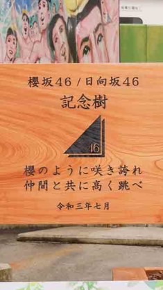 櫻坂46(欅坂46)、日向坂46のオープンチャット