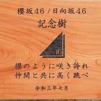 櫻坂46(欅坂46)、日向坂46