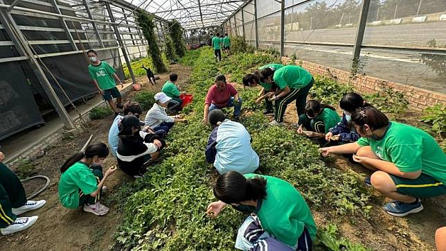 一畝田主人王麗斐指導學生們認識各種香草植物。（記者張淑娟攝）