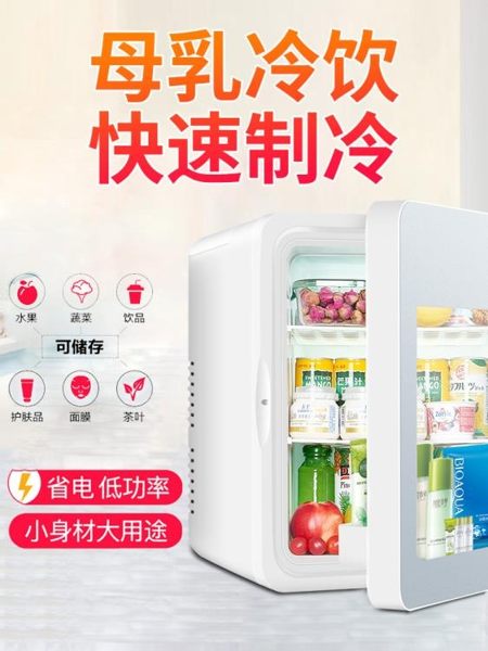 車載冰箱 小冰箱車載冰箱迷你宿舍學生用車家兩用小冰箱制冷冷藏化妝品冰箱單人用