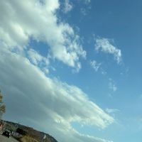 雑談、歌、カオスなんでもどーぞ