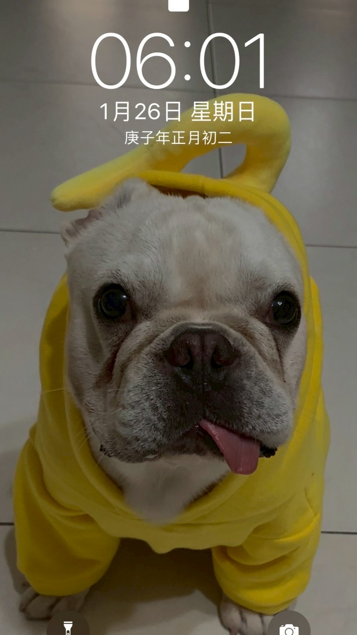 羅浩克家族