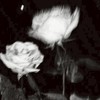 ꧁♰💔บ้านคนเหงา💔♰꧂
