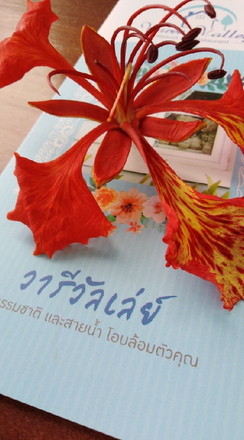 วารี​ วัลเล่ย์​ รีสอร์ท