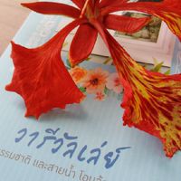 วารี​ วัลเล่ย์​ รีสอร์ท