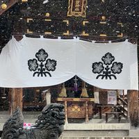 獨旅帶貨