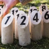台灣芬蘭木棋聯誼群組 （Powered by TFIA)