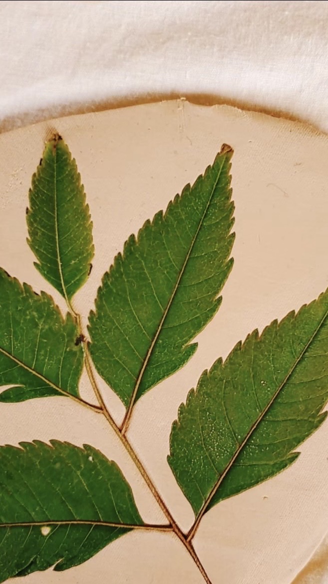 陶藝搬家小幫手！