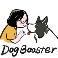 Dogbooster Project : FBI Program