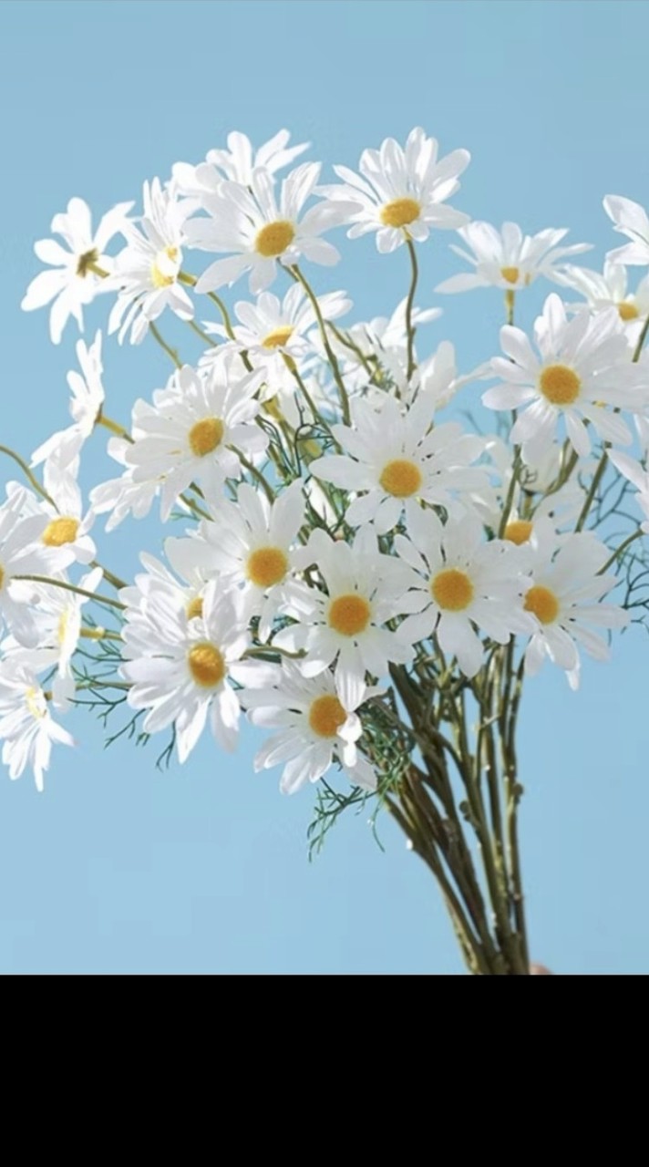 ครัวป้าองุ่น