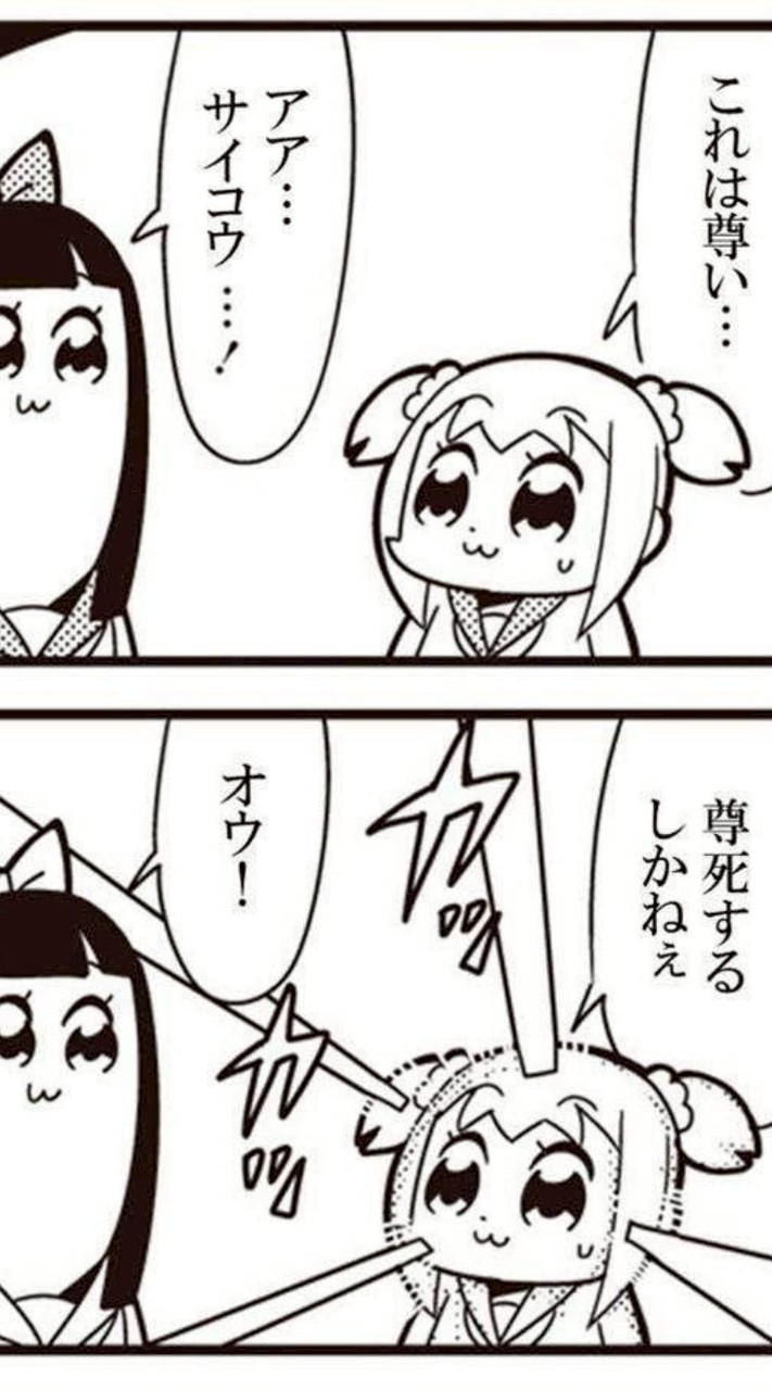 主ちゃ