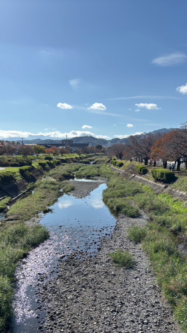 南浅川定点観測隊