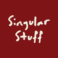 Singular Stuff | 中古精品