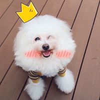 ⚓️シャアァァ⚓️ファミリー⚓️
