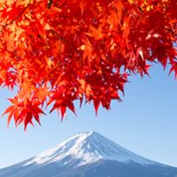 2023.11.28 環富士山ゴルフ⛳️大会オープンチャット💬