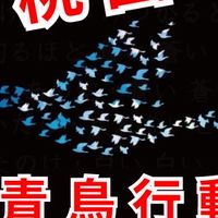 青鳥行動桃園