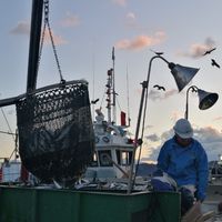 関西よつ葉連絡会　水産生産者
